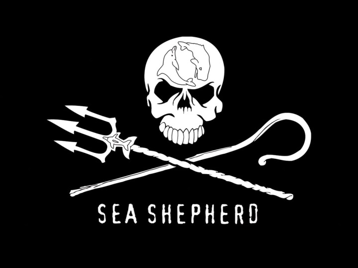 qual-o-significado-do-logotipo-da-sea-shepherd-conservation-society-global-Jolly-Roger